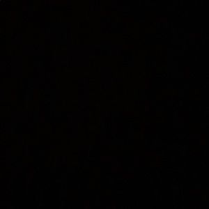 Meet your Posher, Dennis